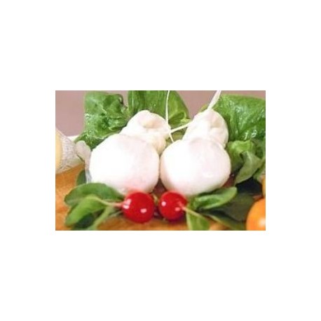 Scamorza fresca