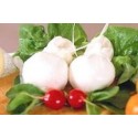 Scamorza fresca