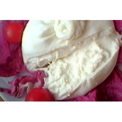 Burrata