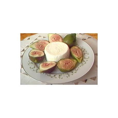 Cacioricotta di pecora